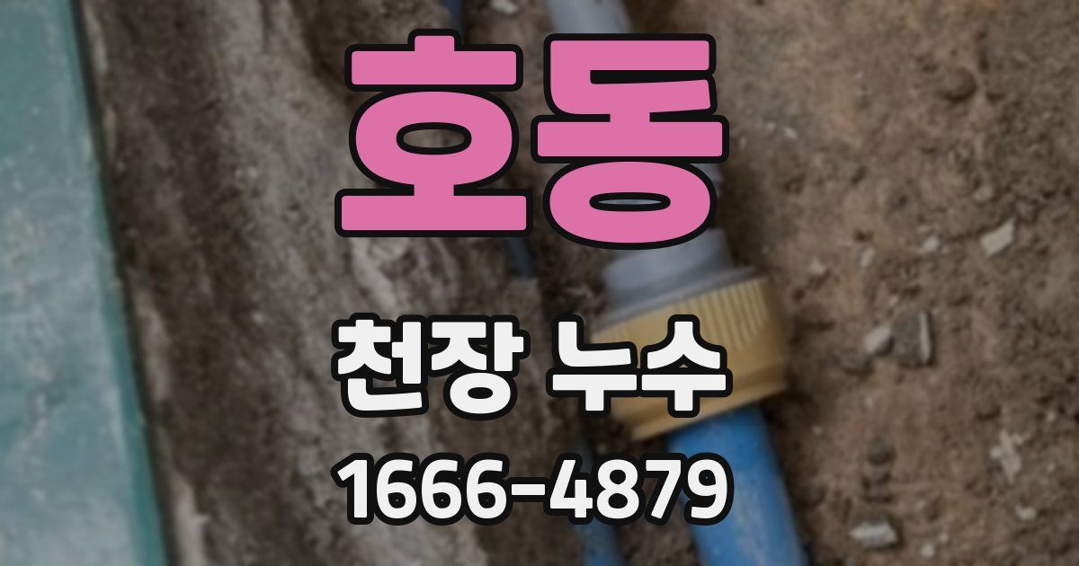 호동 천장 누수