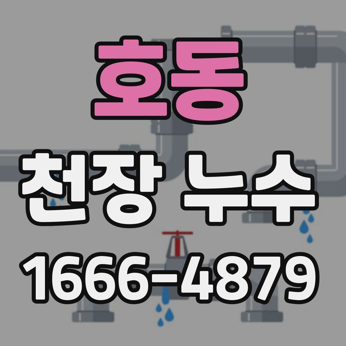 호동 천장 누수