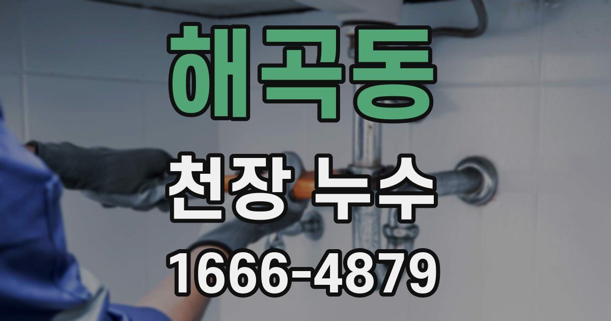 해곡동 천장 누수