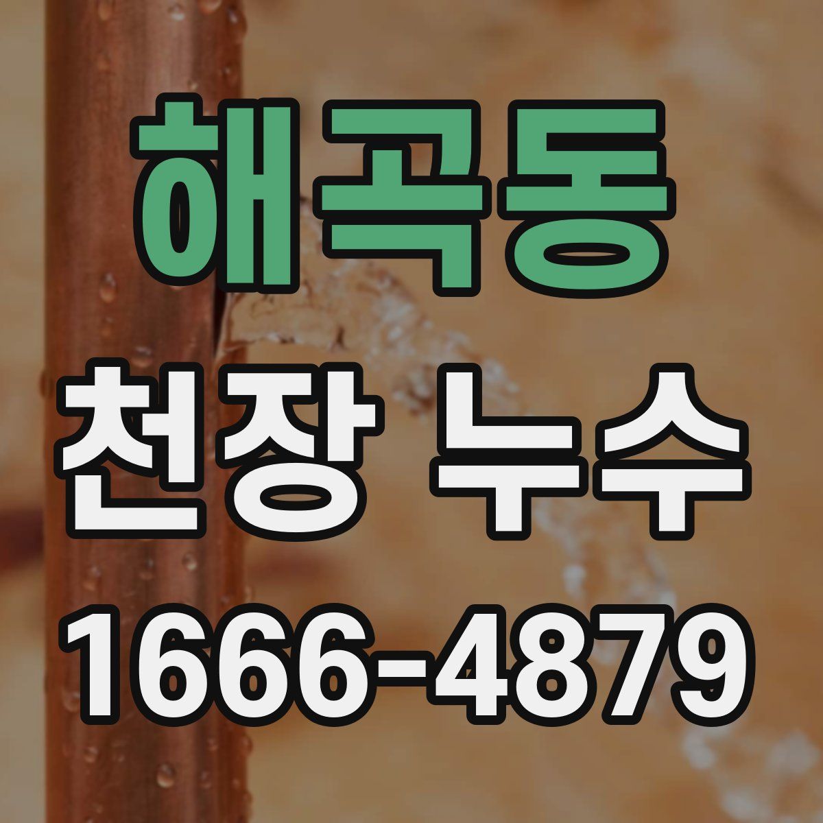 해곡동 천장 누수