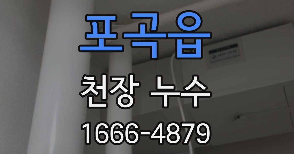 포곡읍 천장 누수