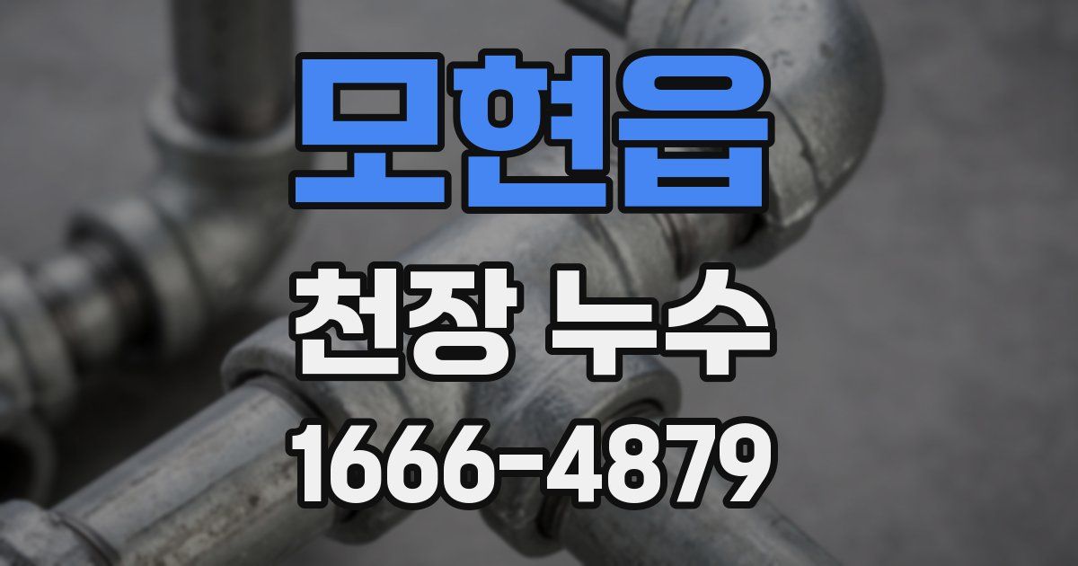 모현읍 천장 누수