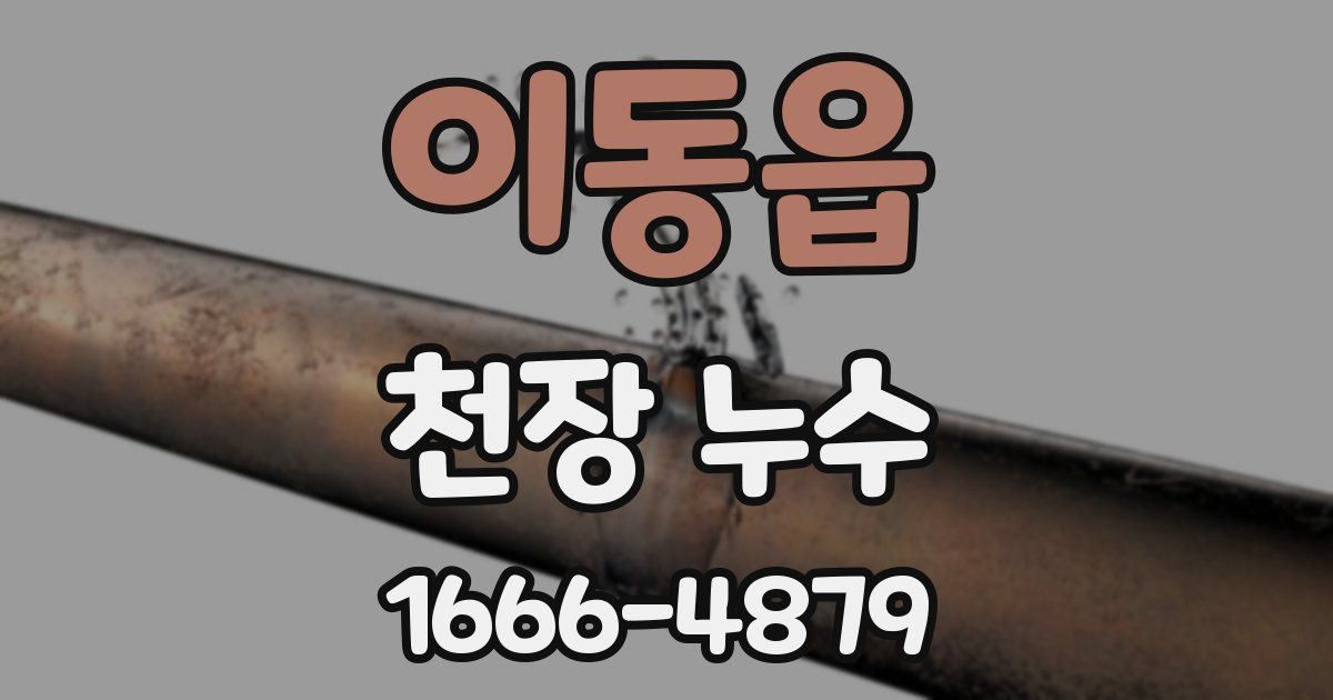 이동읍 천장 누수