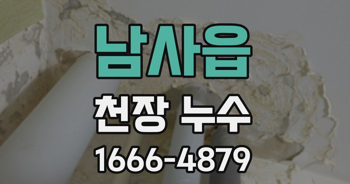 남사읍 천장 누수