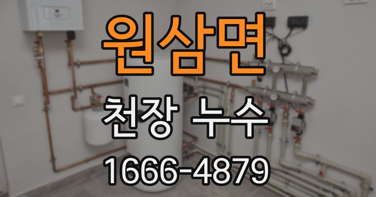 원삼면 천장 누수