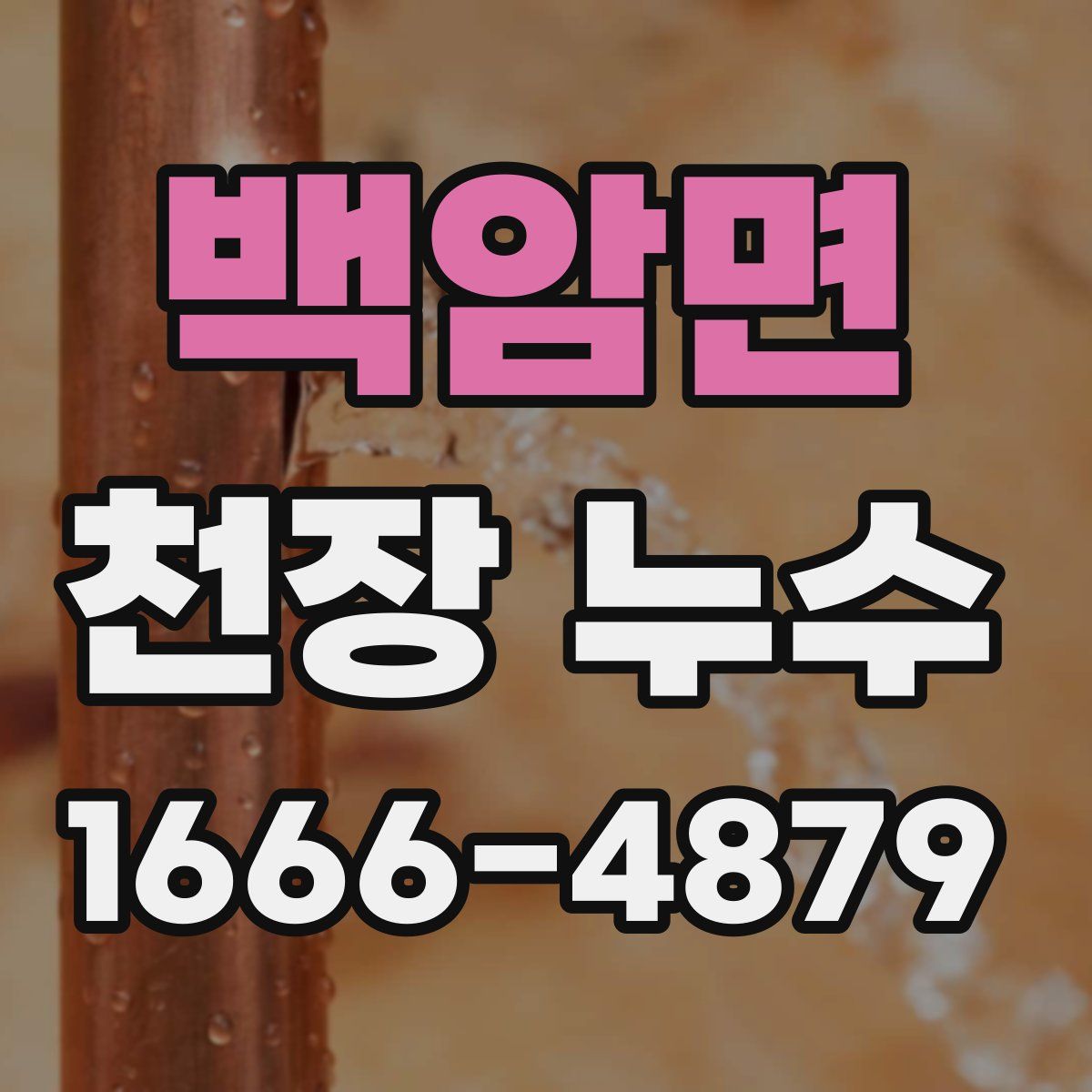 백암면 천장 누수