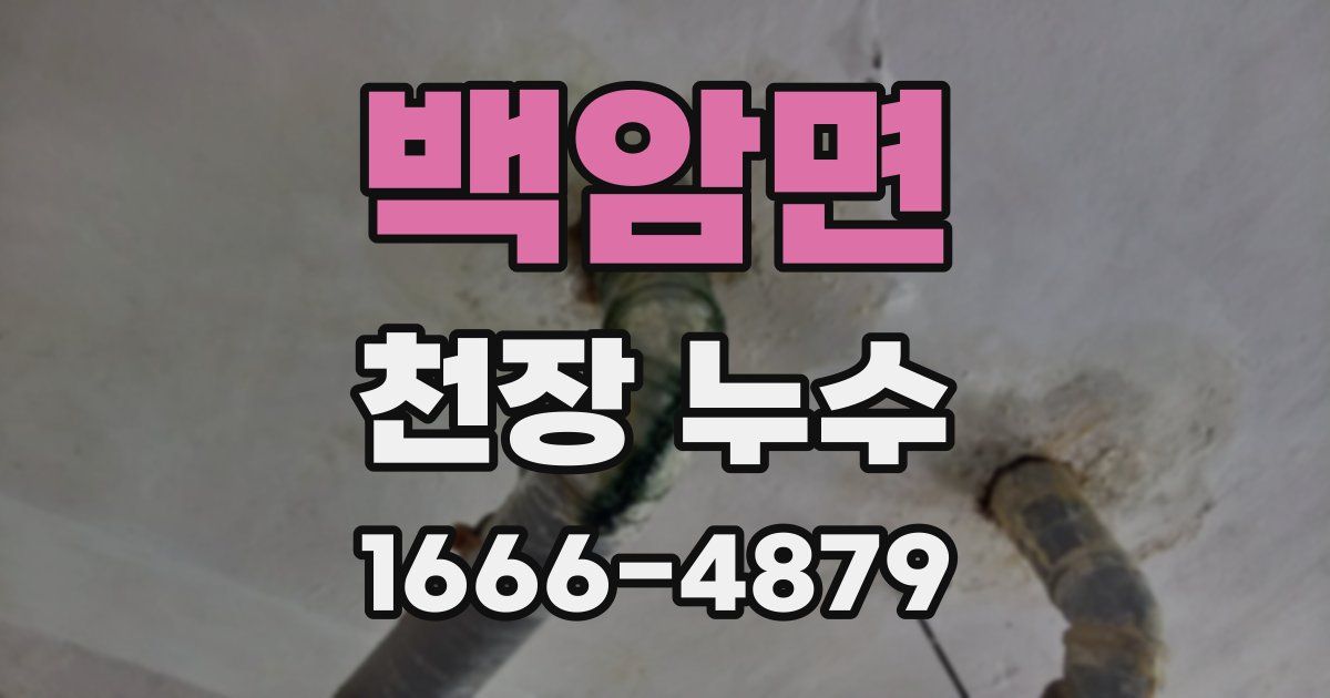 백암면 천장 누수