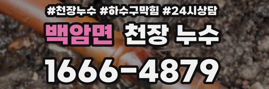 백암면 천장 누수