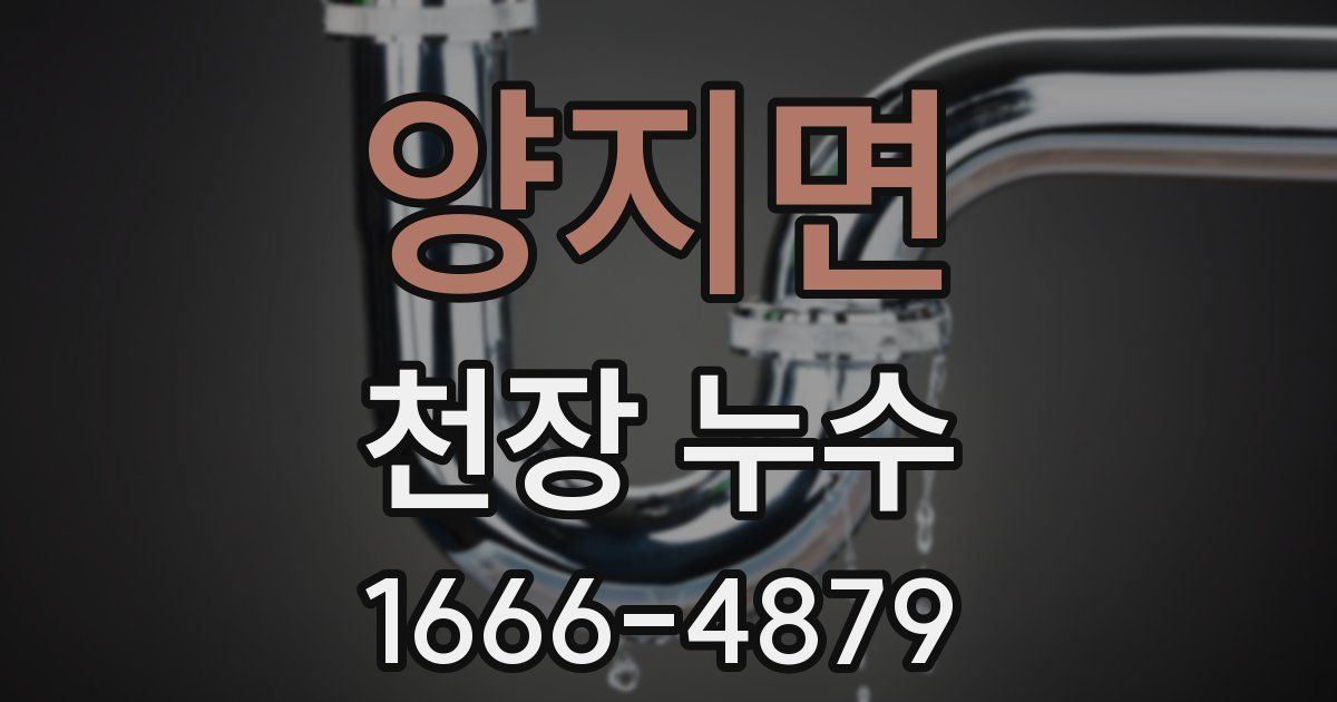 양지면 천장 누수