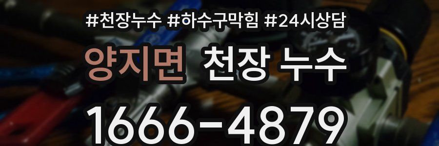 양지면 천장 누수