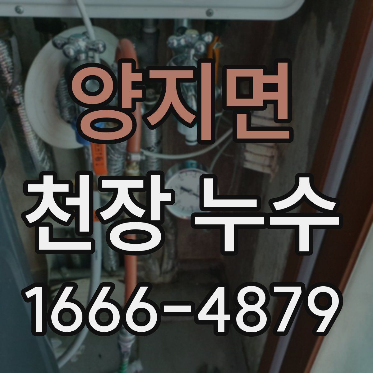 양지면 천장 누수