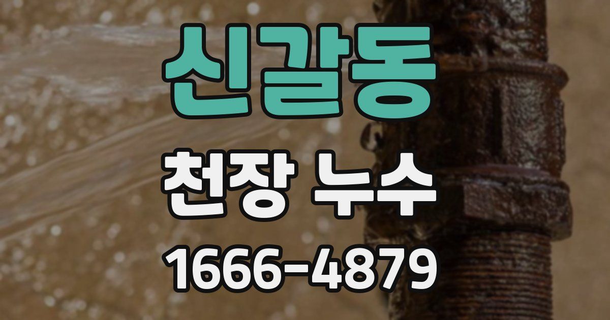 신갈동 천장 누수