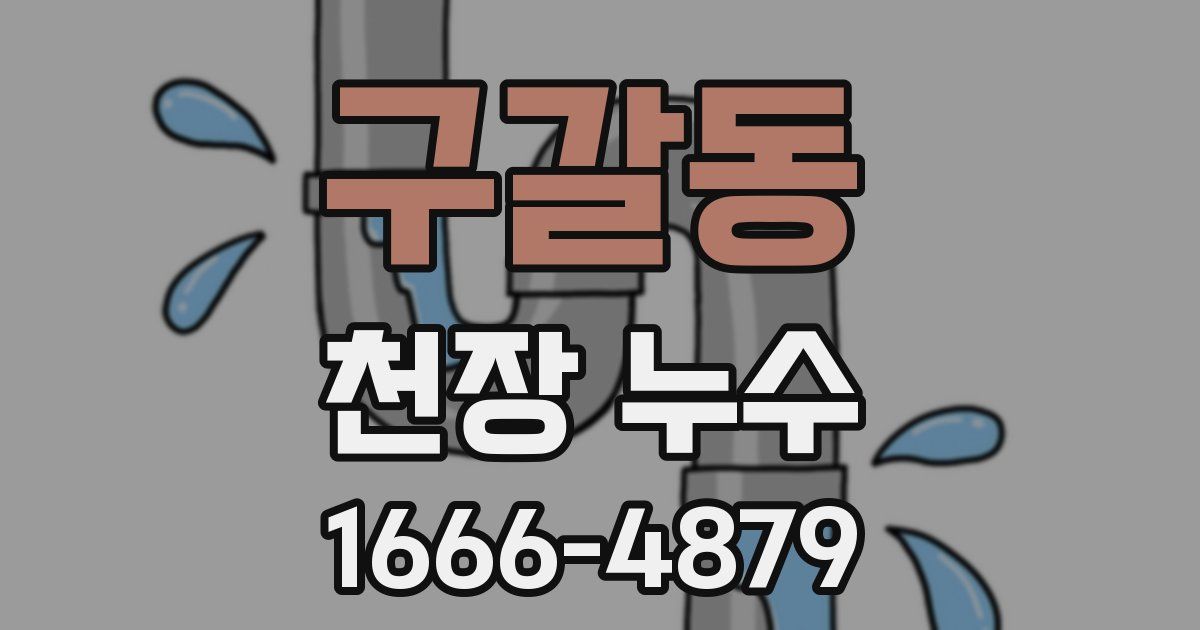 구갈동 천장 누수