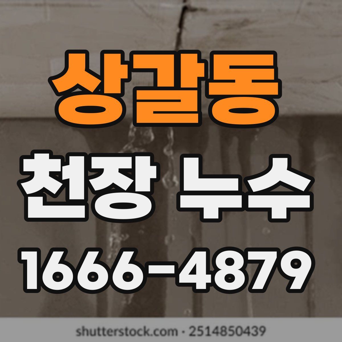 상갈동 천장 누수