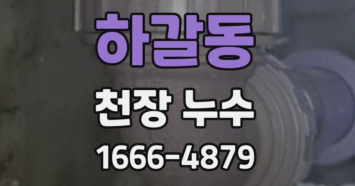 하갈동 천장 누수