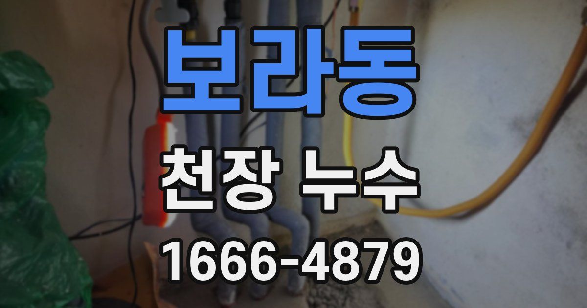 보라동 천장 누수