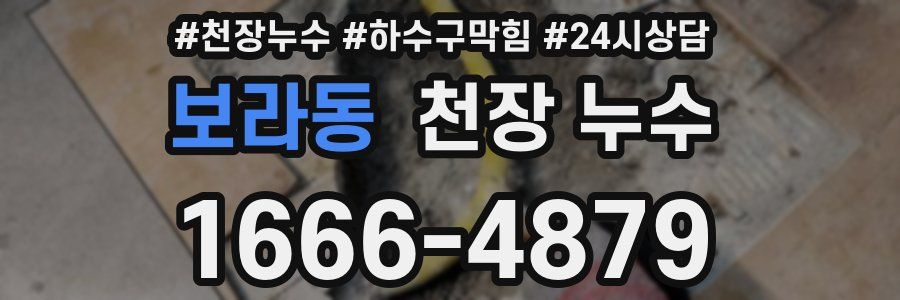 보라동 천장 누수