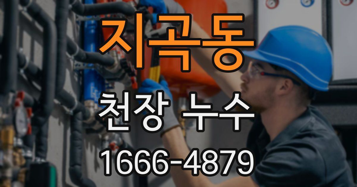 지곡동 천장 누수