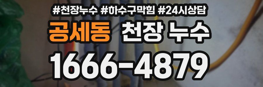 공세동 천장 누수