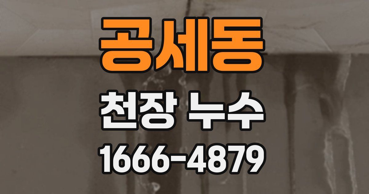 공세동 천장 누수