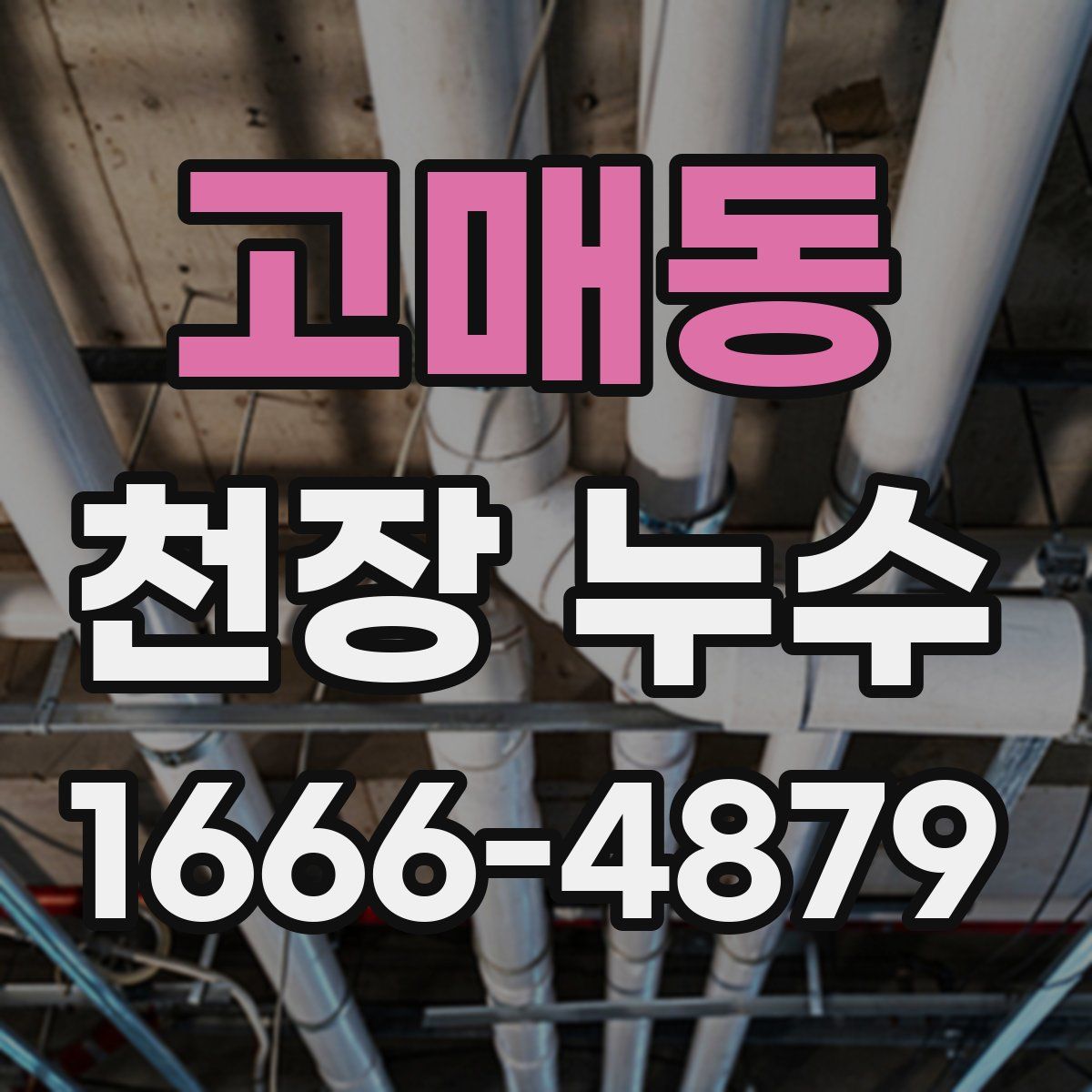 고매동 천장 누수