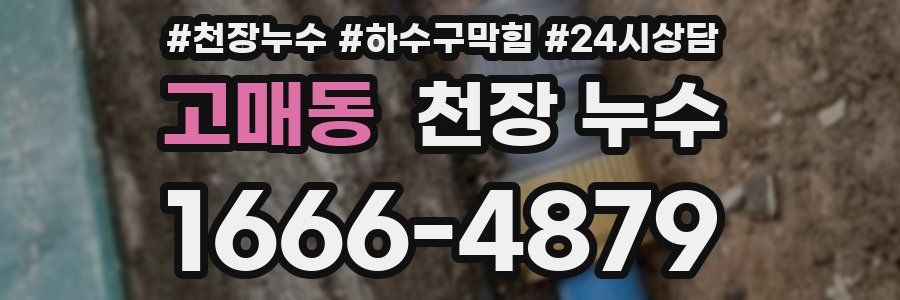 고매동 천장 누수