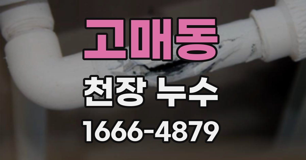 고매동 천장 누수