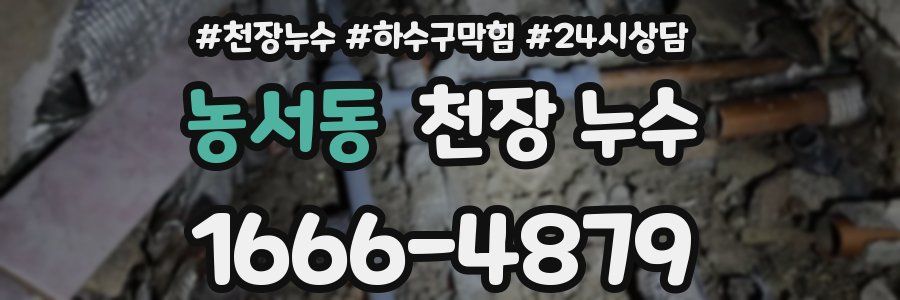 농서동 천장 누수