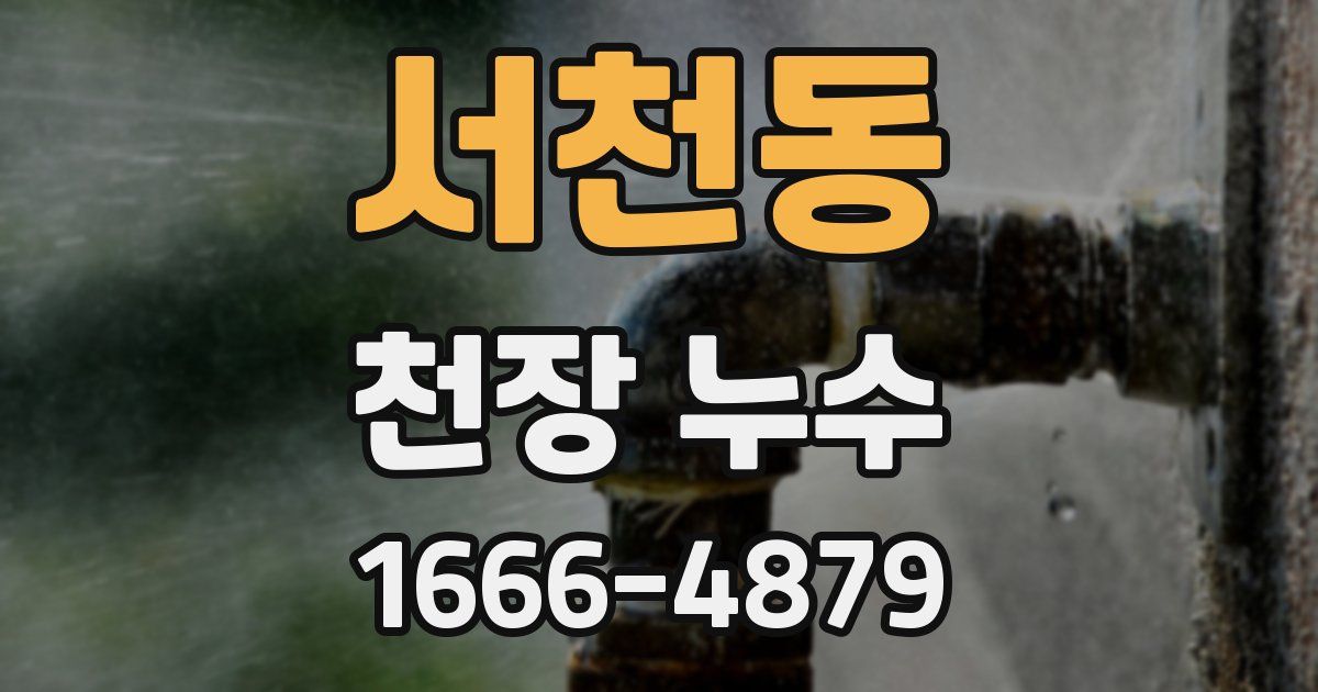 서천동 천장 누수