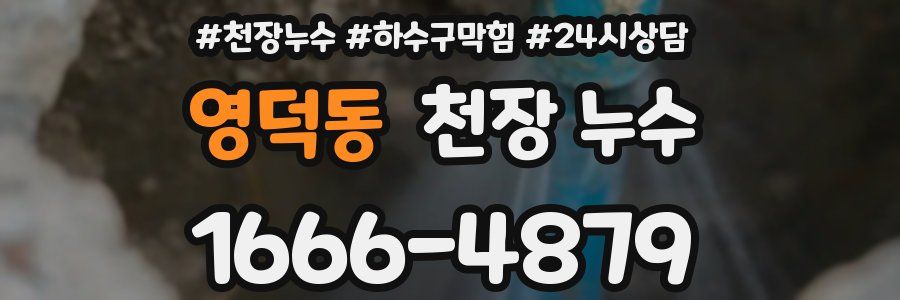 영덕동 천장 누수