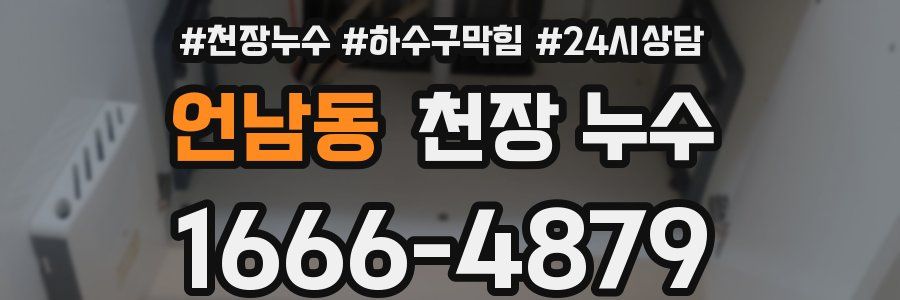 언남동 천장 누수