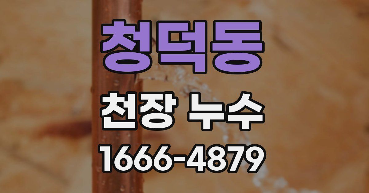 청덕동 천장 누수