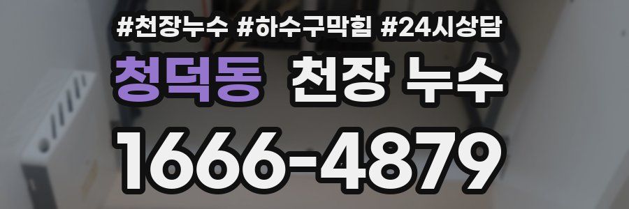 청덕동 천장 누수