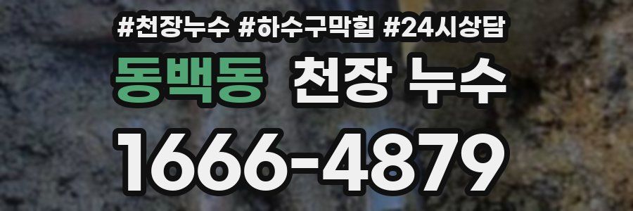 동백동 천장 누수