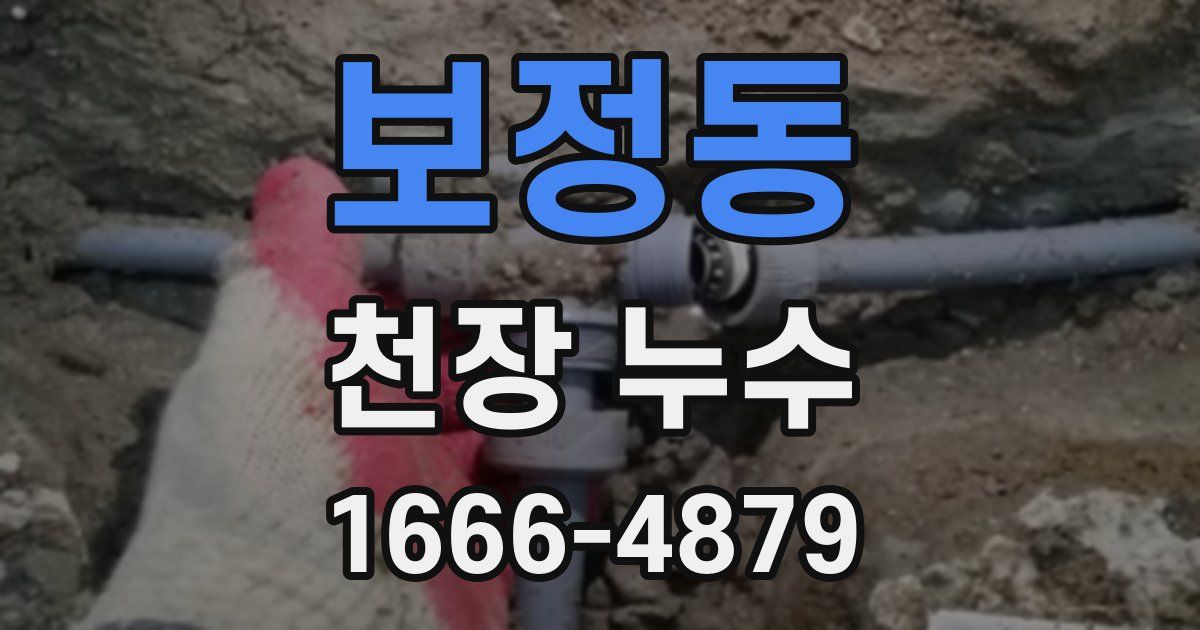 보정동 천장 누수