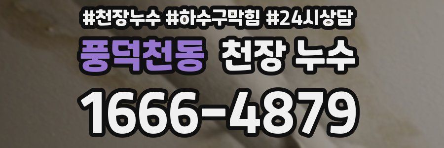 풍덕천동 천장 누수