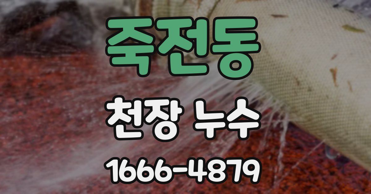 죽전동 천장 누수