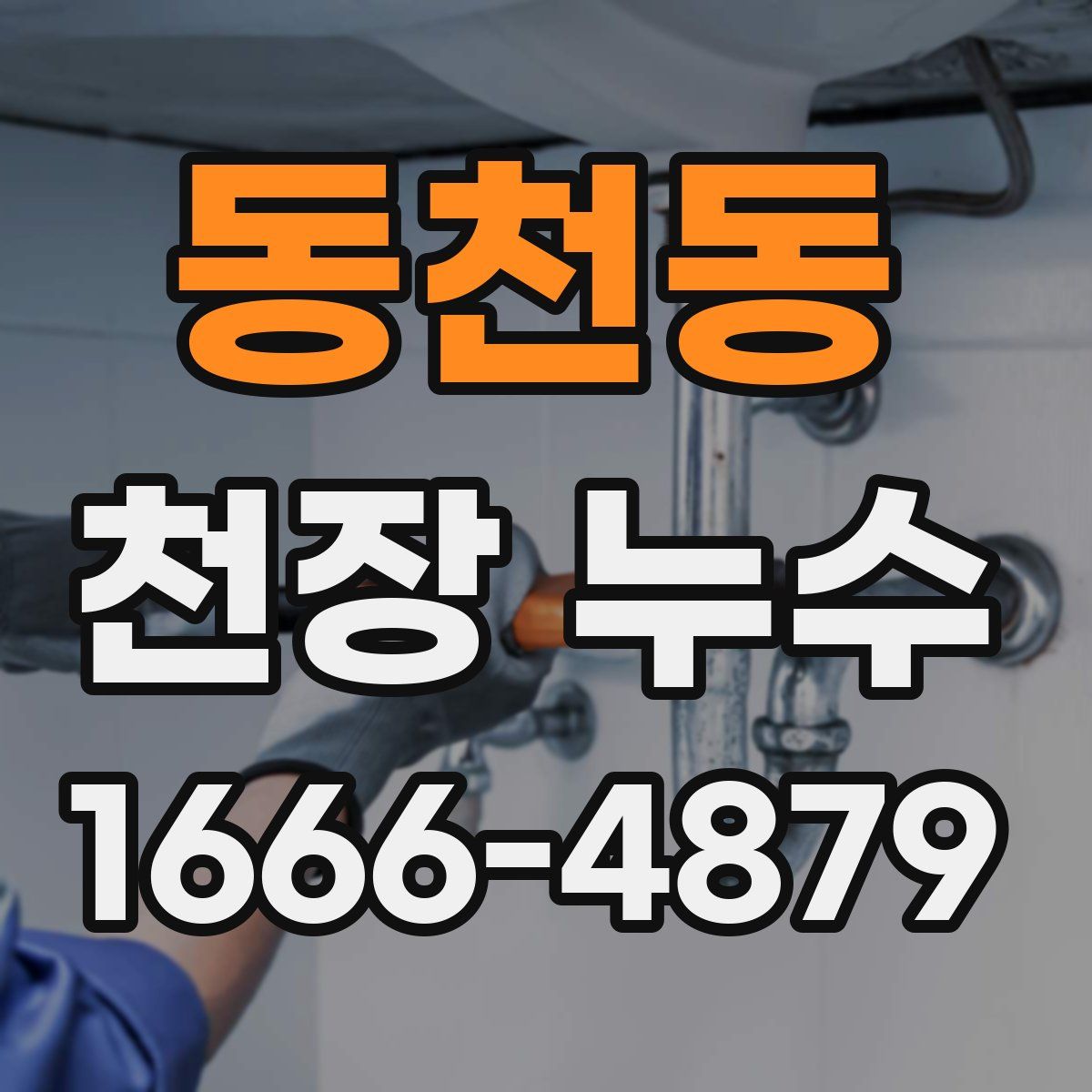 동천동 천장 누수