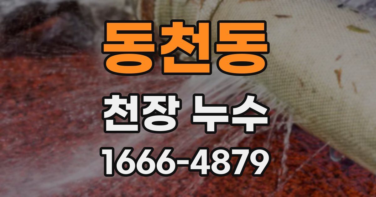 동천동 천장 누수