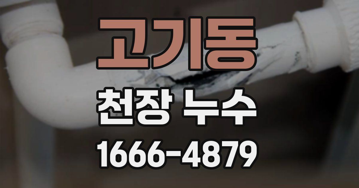 고기동 천장 누수