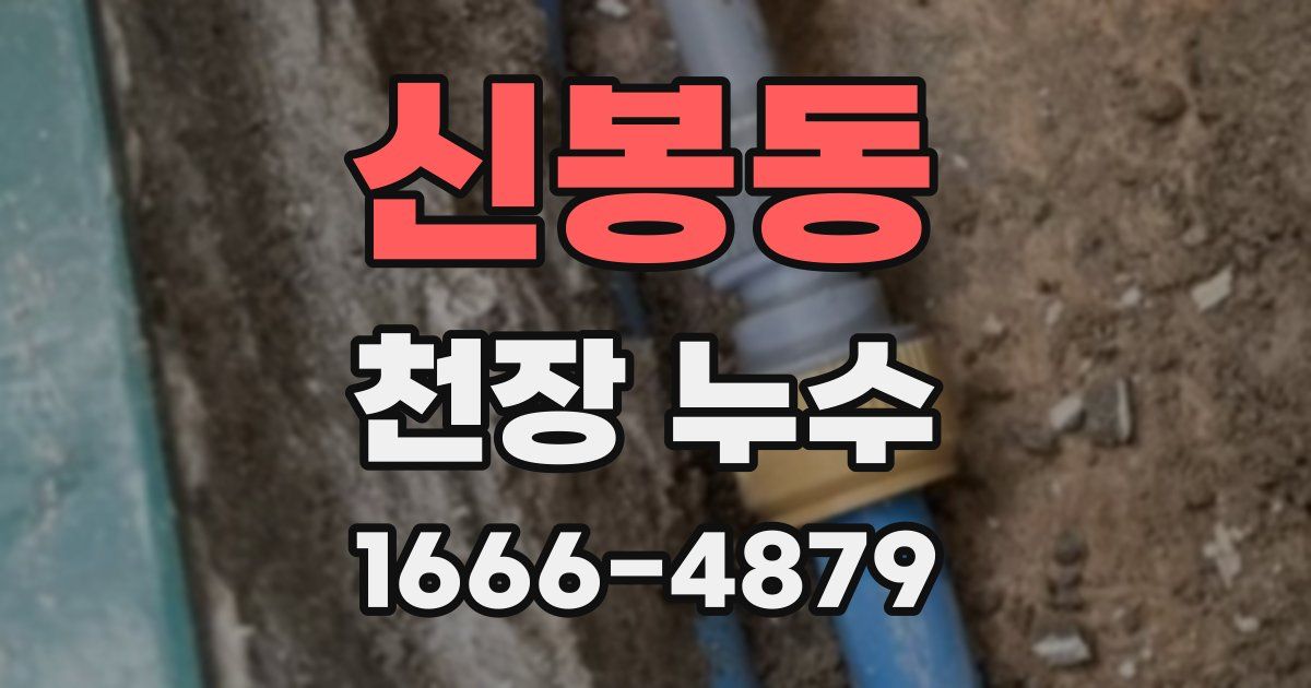 신봉동 천장 누수