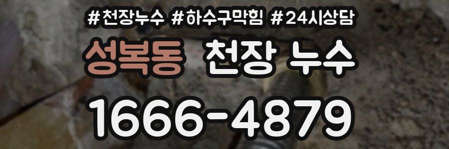 성복동 천장 누수