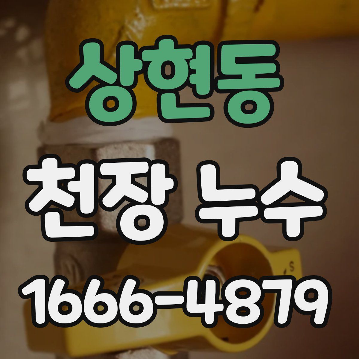 상현동 천장 누수