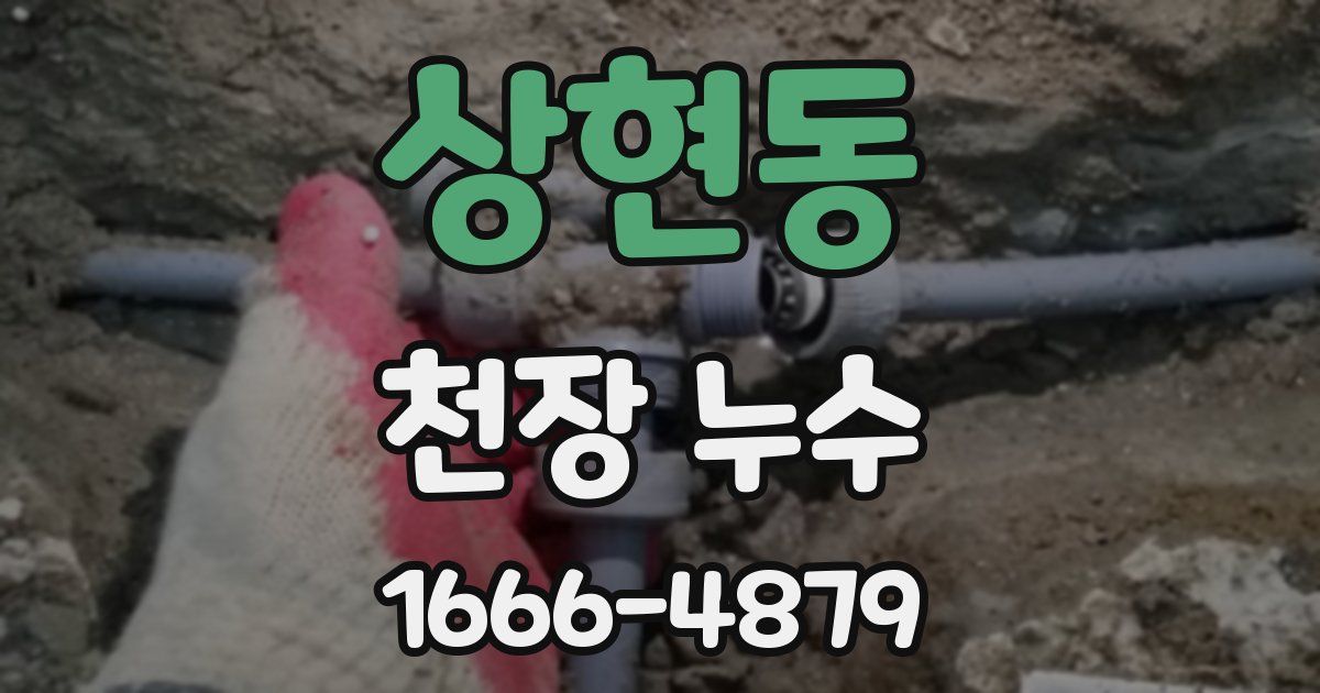 상현동 천장 누수