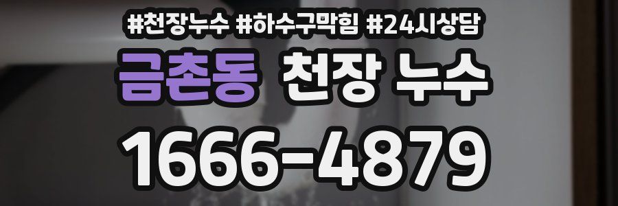 금촌동 천장 누수