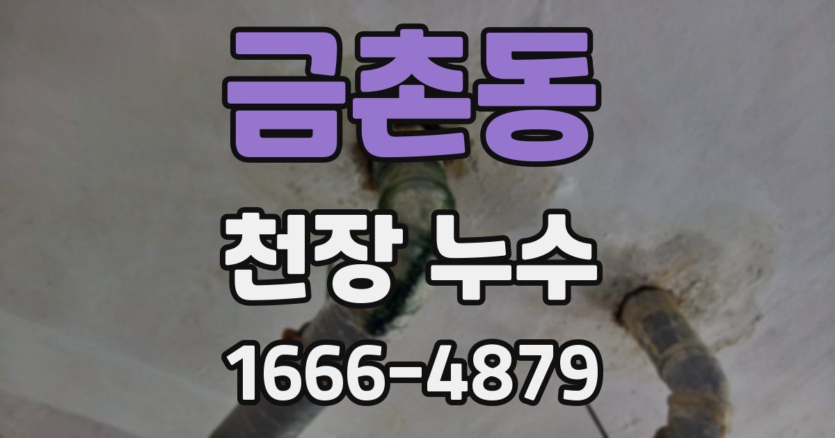 금촌동 천장 누수