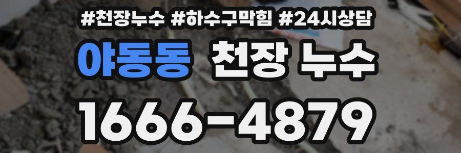 야동동 천장 누수