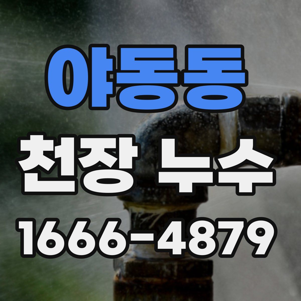 야동동 천장 누수