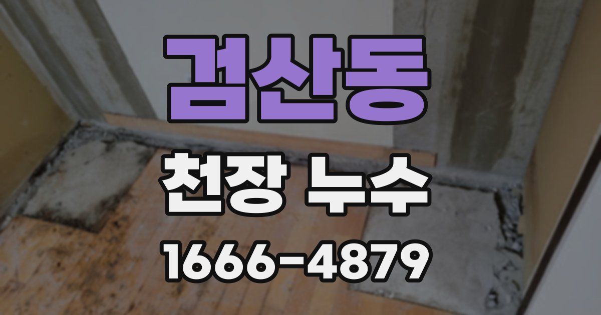 검산동 천장 누수