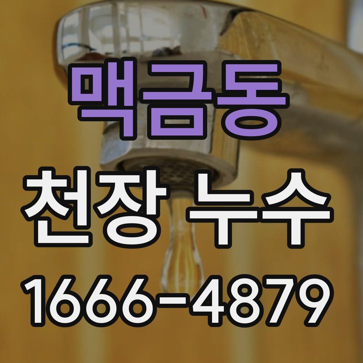 맥금동 천장 누수 피해가 커지기 전 빠른 대응